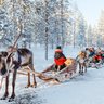 Rentier mit Schlitten im Schnee - Finnland Winter mit Kindern