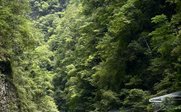 Zhangjiajie Grand Canyon - China Erlebnisreise für Familien