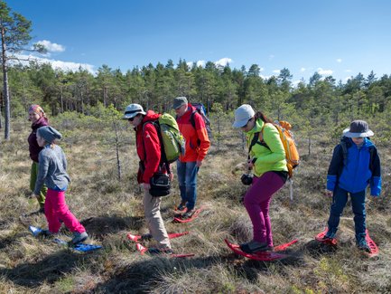 Eine Gruppe wandert mit passenden Schuhen durch ein Moor