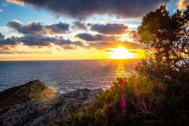 Ein atemberaubender Sonnenuntergang über dem ruhigen Meer, umgeben von dramatischen Wolken und einer grünen Pflanze im Vordergrund.