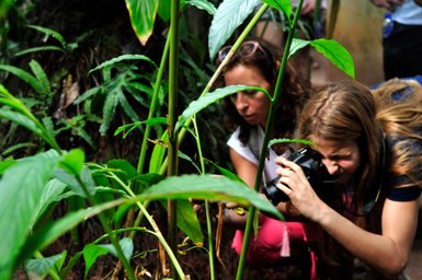 Kinder entdecken verschiedene Pflanzen im Gewürzgarten – Sri Lanka mit Kindern
