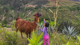 Ein Kind in bunten Pyjamas füttert eine Llama auf einer grünen Wiese, umgeben von Bergen und üppiger Vegetation.