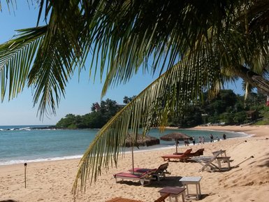 Sandstrand mit hohen Palmen und bequemen Sonnenliegen unter Sonnenschirmen – Sri Lanka Familienreise