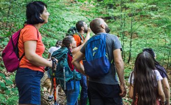 Eine Gruppe von Wanderern schaut fasziniert nach oben in den grünen Wald, während sie auf einem schmalen Pfad stehen.