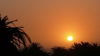 Sonnenuntergang mit Palmen - Namibia Familienurlaub