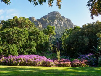 Panoramablick auf die Berge von den Kirstenbosch Botanical Gardens – Südafrika mit Kindern