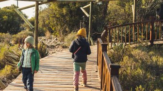 Kinder erkunden eine Holzbrücke in der Buffelsdrift Game Lodge – Südafrika mit Kindern