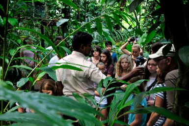 Reisegruppe lauscht einem Guide bei der Führung durch einen Gewürzgarten – Sri Lanka Familienreise