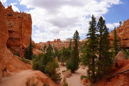 Im Bryce Canyon Nationalpark erheben sich beeindruckende rote Felsen unter einem bewölkten Himmel, umgeben von grünen Bäumen.