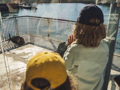 Kinder erkunden die V&A Waterfront in Kapstadt – Südafrika mit Kindern