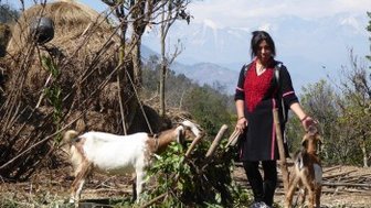 Eine Frau in traditioneller Kleidung steht zwischen zwei Ziegen, umgeben von einer ländlichen Berglandschaft mit schneebedeckten Gipfeln.