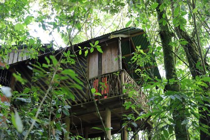 Baumhaus Unterkunft in der La Tigra Rainforest Lodge – Costa Rica Reise mit Kindern