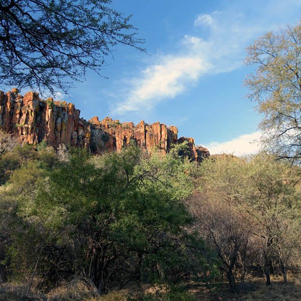 Der Wasserberg-Plateau in Namibia zeigt beeindruckende, farbenfrohe Felsen, umgeben von üppiger Vegetation und klarem Himmel.