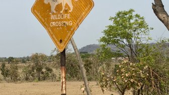 Ein abgenutztes Warnschild weist Autofahrer darauf hin, langsam zu fahren, da Wildtiere die Straße überqueren könnten.