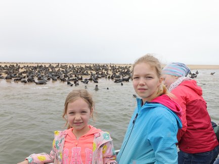 Zwei Kinder vor einer Robbenkolonie - Namibia mit Jugendlichen