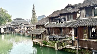 Eine malerische Wasserstraße in Wuzhen, umgeben von traditionellen Holzhäusern und üppigem Grün am Ufer.