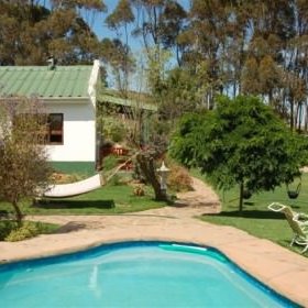 Ein einladender Pool in einem Garten, umgeben von Bäumen und einer gemütlichen Hängematte, ideal für Entspannung.