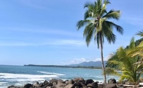 Steine am Strand und Palme an der Pazifikküste bei Uvita – Costa Rica Reise mit Kindern