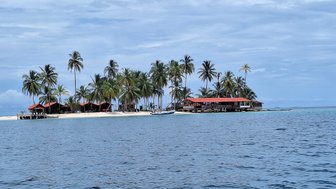 Eine malerische Insel mit Palmen und roten Dächern, die am Ufer eines ruhigen, blauen Meeres liegt.