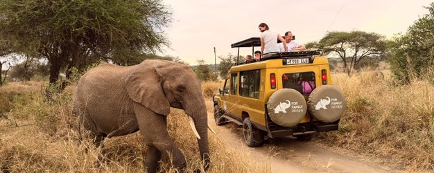 Elefant steht neben Jeep auf Safari - Tansania Safari mit Kindern