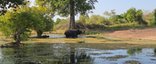 Elefant badet in Wasser - Sri Lanka Summer Family & Teens - Sri Lanka mit Teenagern