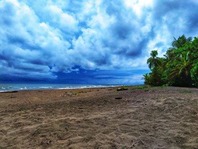 Tropischer Strand mit Palmen im Tortuguero Nationalpark – Costa Rica Familienreise