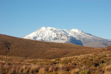 Der schneebedeckte Gipfel des Tongariro-Vulkans erhebt sich majestätisch über die sanften Hügel der Umgebung.