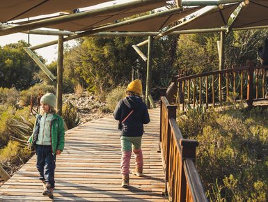 Kinder erkunden eine Holzbrücke in der Buffelsdrift Game Lodge – Südafrika mit Kindern