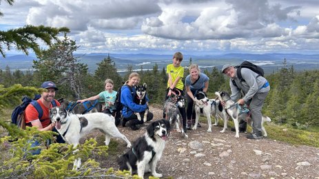 Eine Gruppe von Menschen posiert fröhlich mit mehreren Huskys auf einem Berg, umgeben von einer malerischen Landschaft.