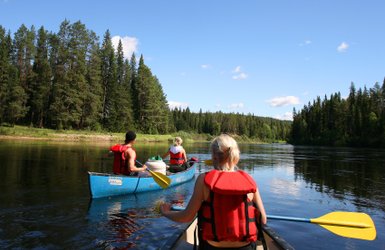 Drei Personen im Kanu paddeln auf einem ruhigen Fluss, umgeben von dichten, grünen Wäldern und klarem blauen Himmel.