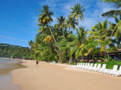 Sonnenliegen unter Palmen direkt am Sandstrand des Mirissa Beach Inn – Sri Lanka Familienreise