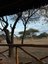 Blick auf Giraffe von Safarilodge - Kenia Erlebnisreise mit Teens