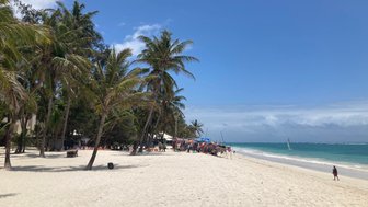 Ein sonniger Strand mit Palmen, wo Menschen entspannen und ein Segelboot in der Ferne auf dem Wasser fährt.