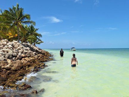 Zwei Personen waten im flachen, klaren Wasser vor einer tropischen Küste mit Palmen und einem Boot im Hintergrund.