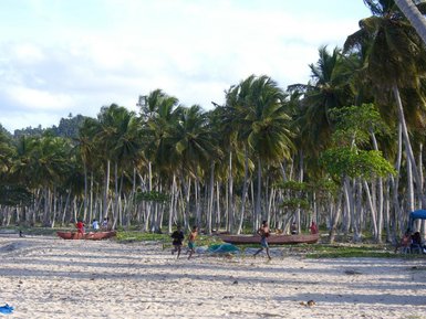 Eine Gruppe von Menschen spielt am Strand, umgeben von hohen Palmen und einem ruhigen, sonnigen Himmel.