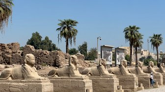 Sphinxe in der berühmten Allee des Tempels von Luxor – Ägypten Reise mit Kindern