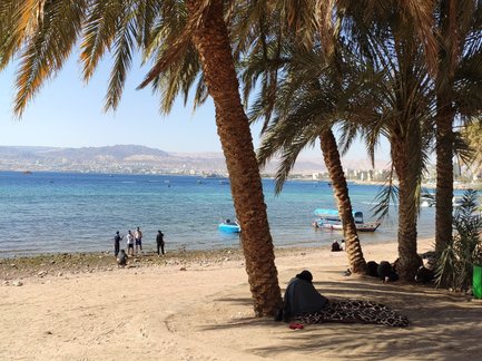 Eine ruhige Strandlandschaft mit Palmen, wo Menschen am Wasser stehen und Boote in der Ferne schwimmen.
