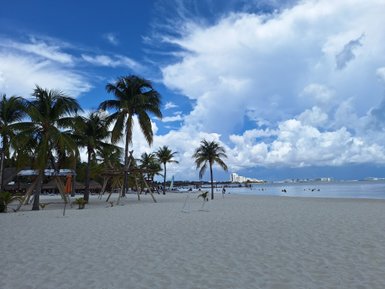 Ein sonniger Strand mit Palmen, feinem Sand und einem klaren blauen Himmel, ideal für einen entspannten Tag am Meer.