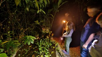 Gruppe auf Nachtwanderung mit Taschenlampen in La Tigra – Costa Rica mit Kindern