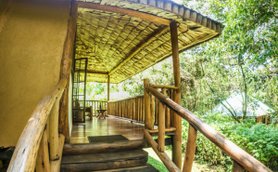 Eine einladende Veranda mit Holzgeländer und einem Blick auf die üppige grüne Umgebung, ideal für Entspannung.