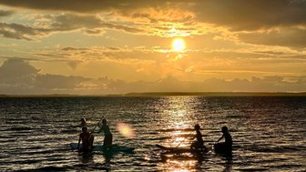 Silhouetten von Menschen, die auf Stand-Up-Paddle-Boards im Sonnenuntergang paddeln, während das Wasser glitzert.