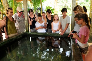 Eine Reisegruppe besucht die Schildkrötenaufzuchtstation in Bentota – Sri Lanka Familienreise