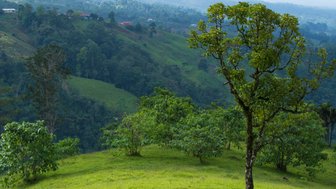 Weite grüne Landschaft bei der La Tigra Rainforest Lodge – Costa Rica Reise mit Kindern