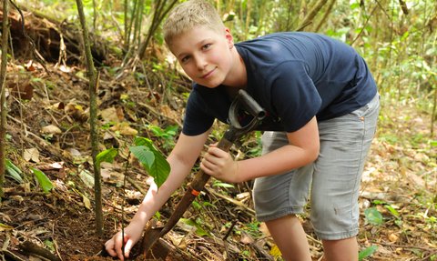 Junge beim Baum Pflanzen in Costa Rica – Costa Rica Familienreise