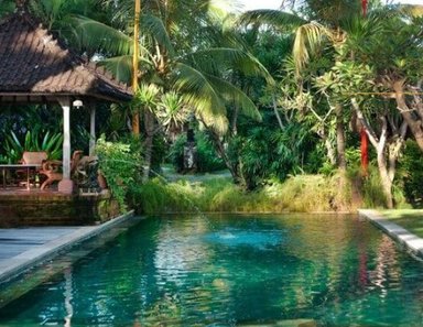 Ein ruhiger Pool umgeben von üppigem Grün und Palmen, ideal für Entspannung und Erholung in tropischer Umgebung.