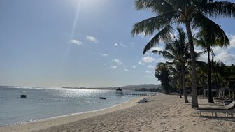 Ein ruhiger Strand mit feinem Sand, umgeben von Palmen und einem glitzernden Meer unter einem strahlend blauen Himmel.