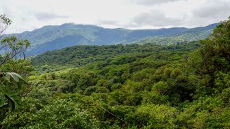 Panoramablick über den grünen Nebelwald von Monteverde – Costa Rica mit Kindern