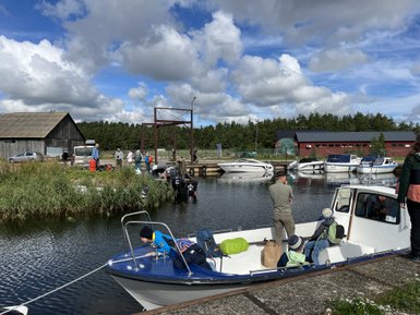 Eine Gruppe von Menschen am Hafen, während Boote im Wasser liegen und eine entspannte Atmosphäre herrscht.