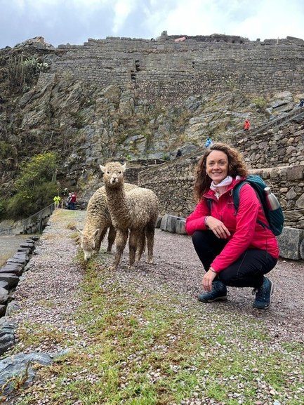 Eine Frau in einer pinken Jacke kniet neben zwei Schafen vor einer beeindruckenden Inka-Ruine in Ollantaytambo.