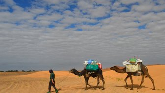 Einheimischer mit zwei Kamelen in der Wüste Omans – Oman mit Kindern